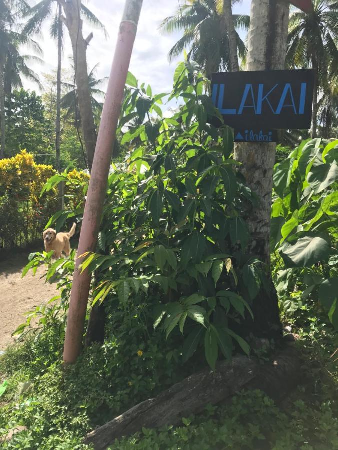Ilakai